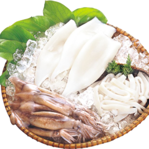 Frozen Illex squid from Taiwan – premium wholesale squid exporter Forever Frozen Seafood