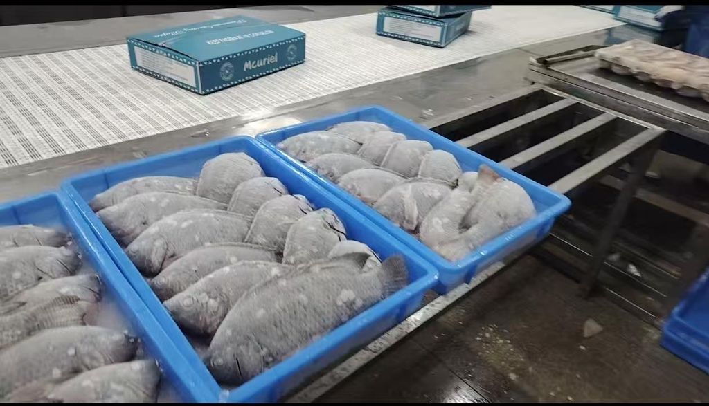 Forever Frozen Seafood export facility in Zuoying District, Kaohsiung, Taiwan